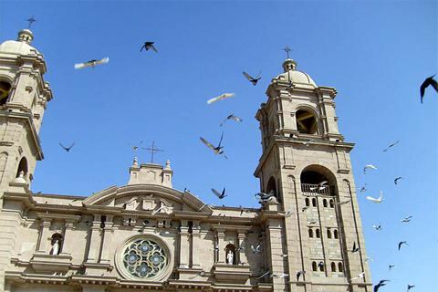 Edificios históricos de Tacna en riesgo por excremento de palomas