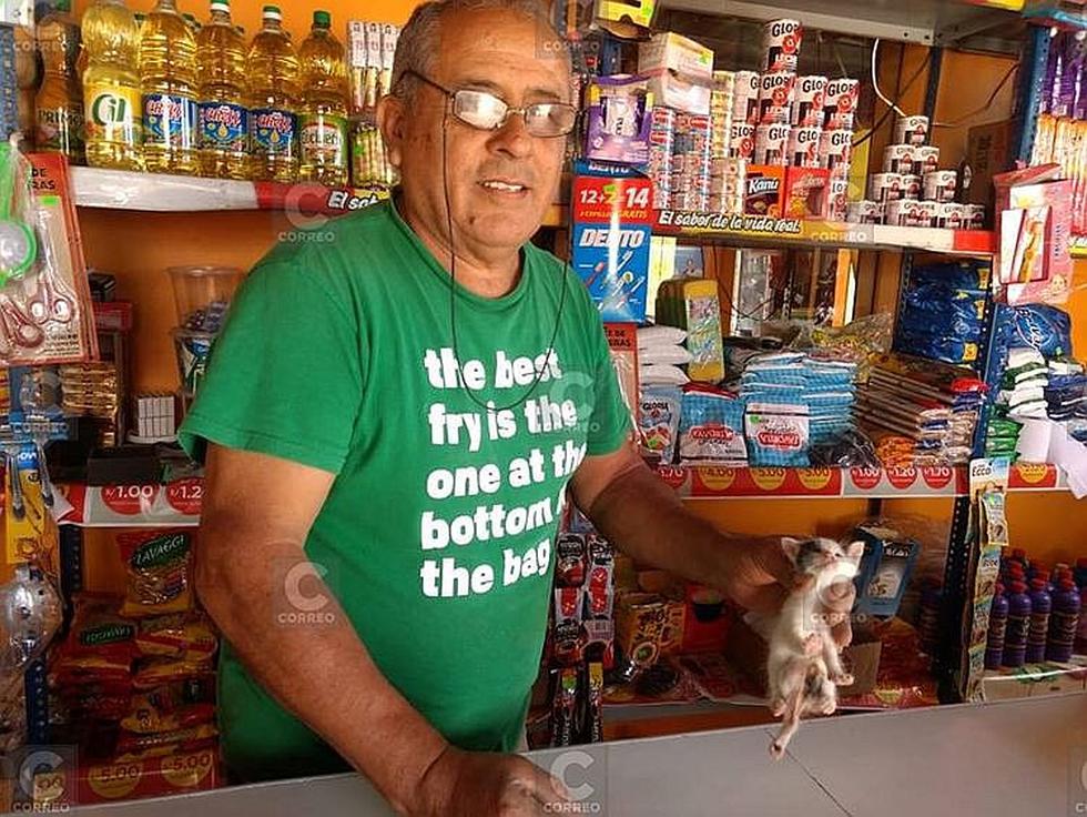 El nacimiento de un gato con seis patas genera asombro en Arequipa (FOTOS)