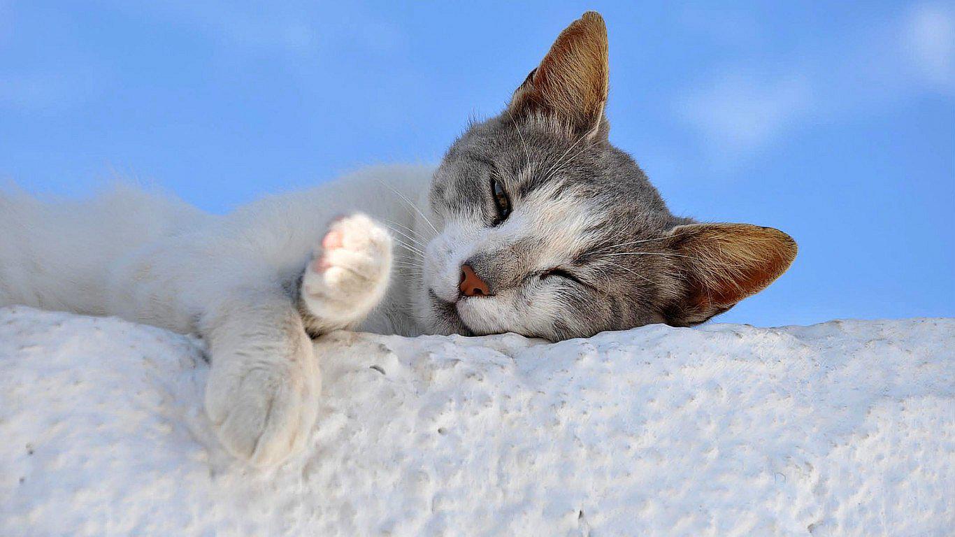 ¿Problemas para dormir? Este ejercicio podría ayudarte