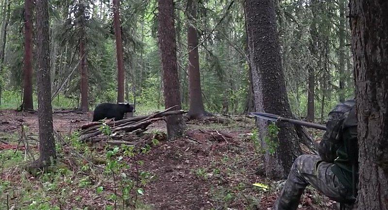 YouTube: Cazador causa polémica por grabar cómo mata a un oso con una lanza