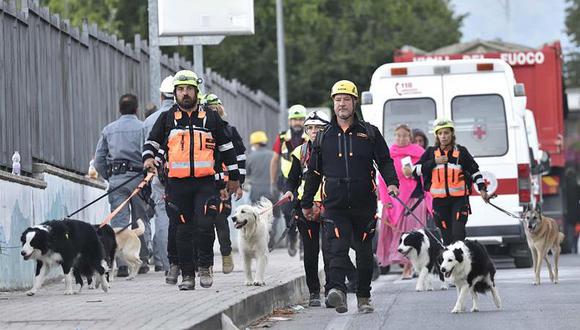 Perros rescatadores y perros rescatados en medio del terremoto en Italia