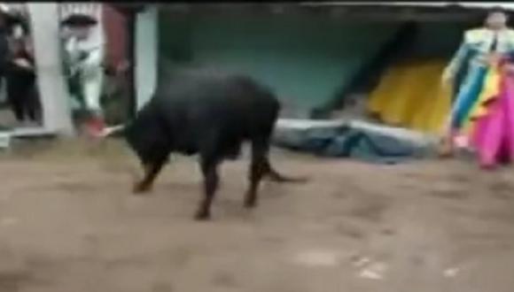 ​Cajamarca: Toro se escapa de corral y causa pánico en fiesta patronal
