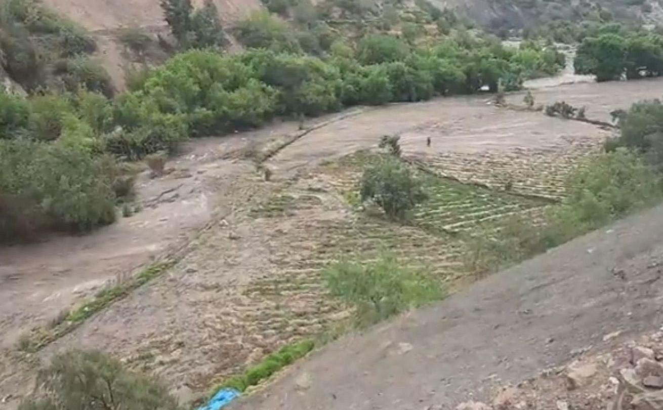 Incremento del caudal del río Yura destruye 300 hectáreas de cultivo