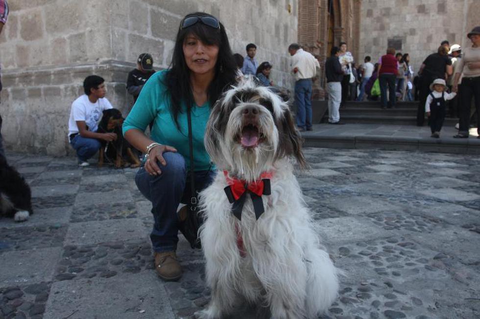 Dia de bendicion de mascotas