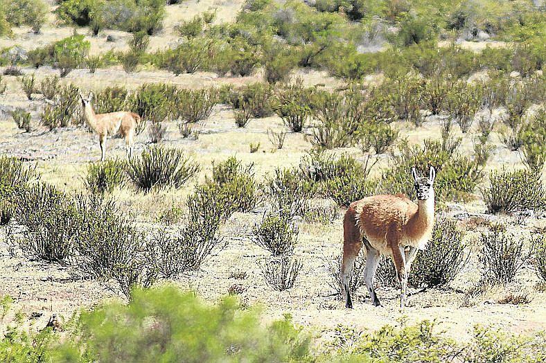 La Libertad: Presentan avances del Proyecto Calipuy 