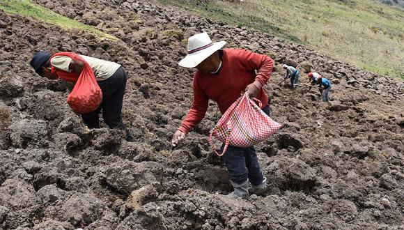 Perú y Bolivia se reunirán este jueves para analizar comercio bilateral de productos agrícolas