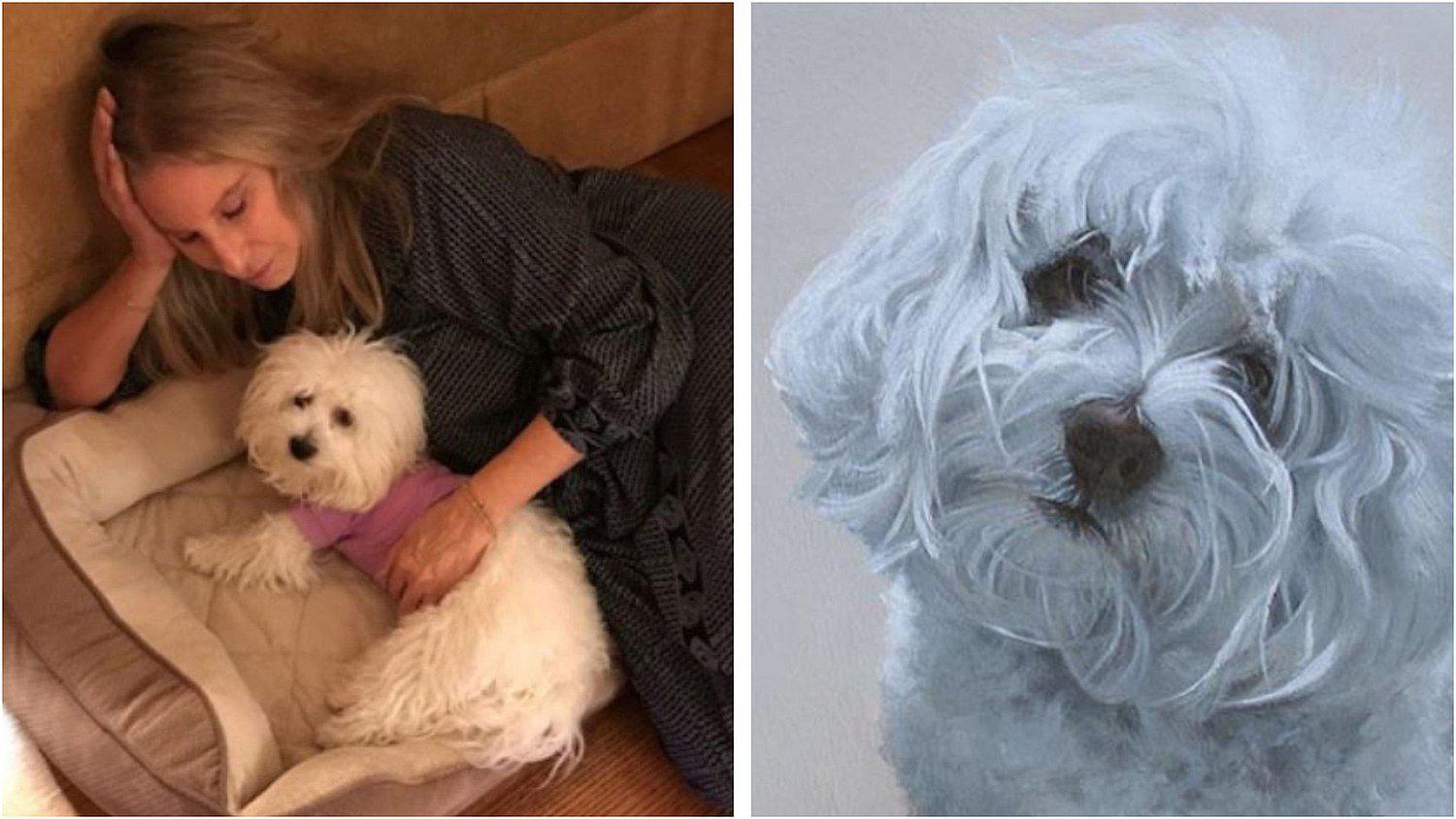 Barbra Streisand confirmó que clonó a su perro pero no pudo “clonar su alma” 