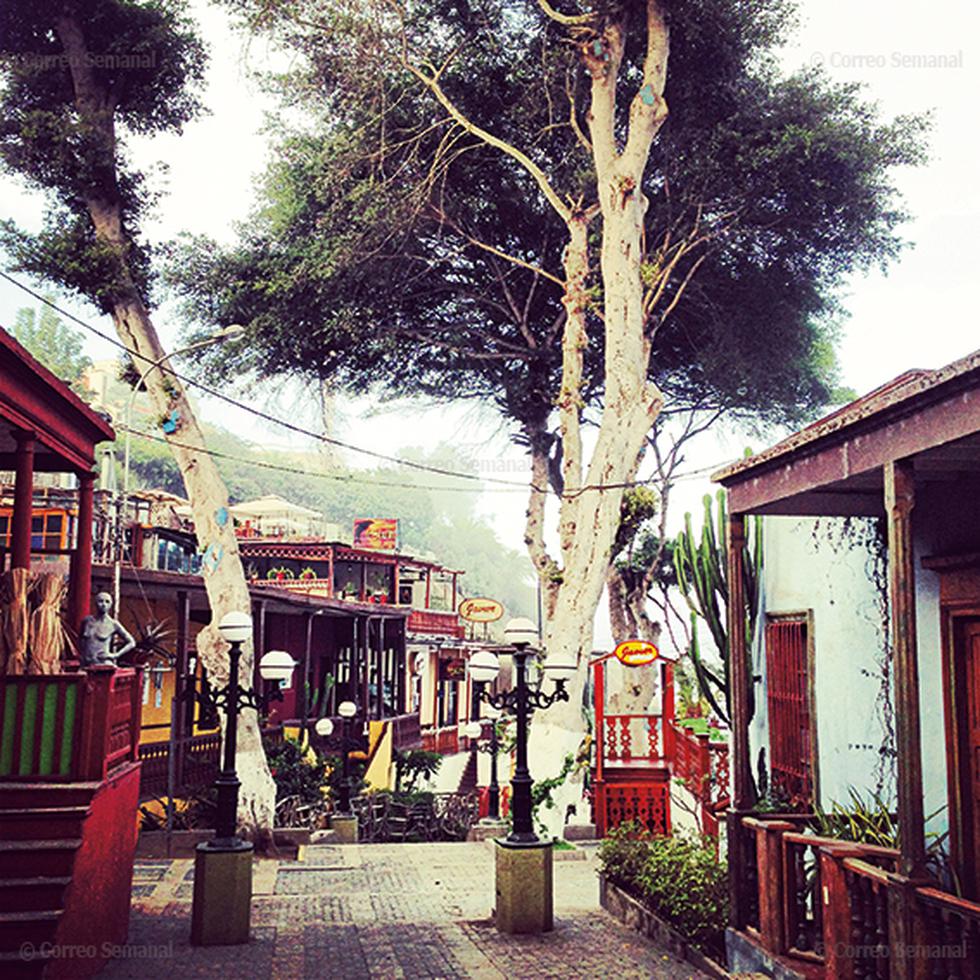 Ramiro Llona: La otra mirada