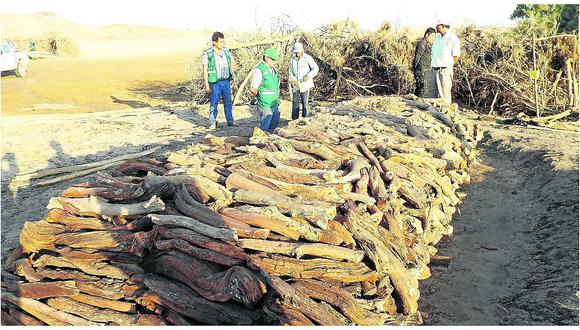 Ica: Incautan tres toneladas de leña de huarango en Ocucaje