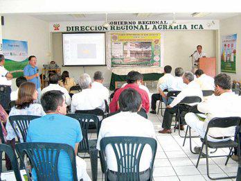 Semillas certificadas dan buena cosecha