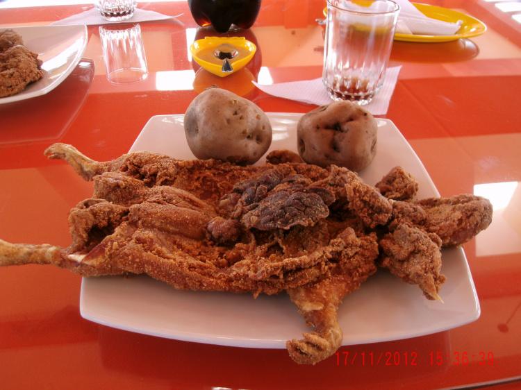 Celebran hoy el Festival del cuy en Yacango