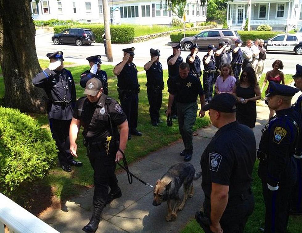 Emotiva despedida a perro policía que fue sacrificado