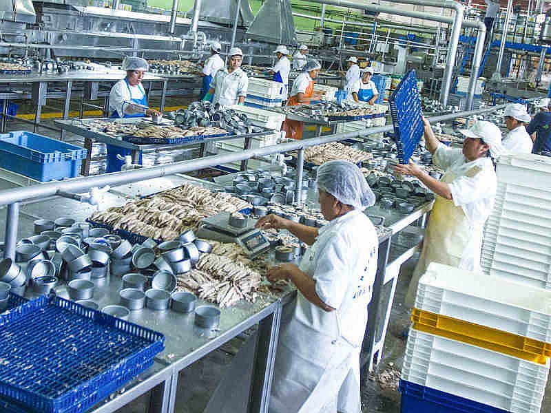 Manufactura creció 2% en junio por la producción de harina de pescado