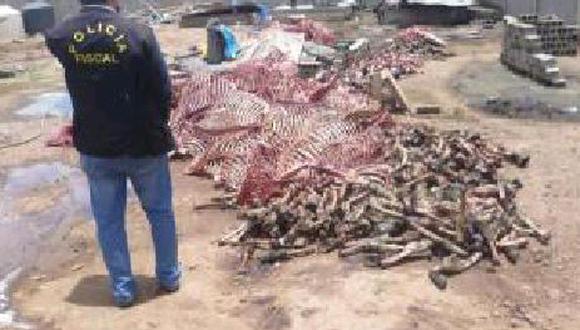 Juliaca: Mataban burros y enviaban carne a Lima 