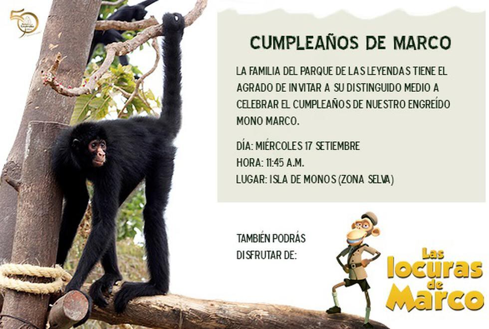 Parque de las Leyendas: Mono Marco está de fiesta