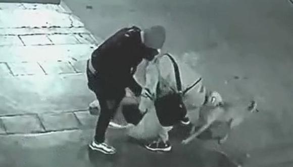 Perro callejero ayuda a joven que estaba siendo brutalmente asaltado en Ate (VIDEO) 