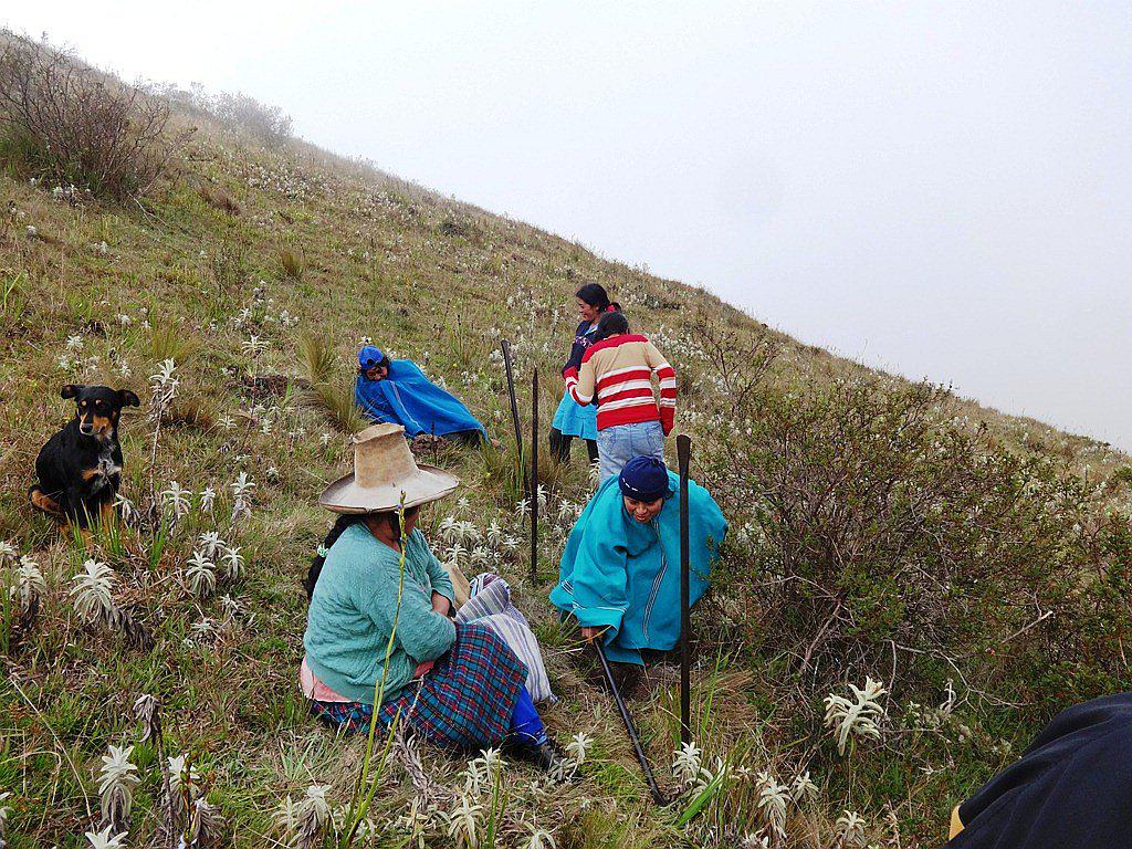 Piura: Promueven siembra de cultivos nativos en Huancabamba