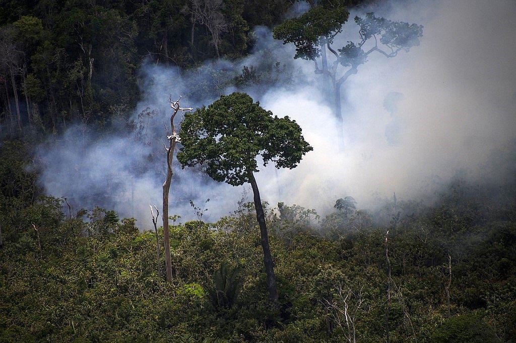 Amazonía: Se registran cientos de nuevos incendios en medio del clamor mundial contra Bolsonaro