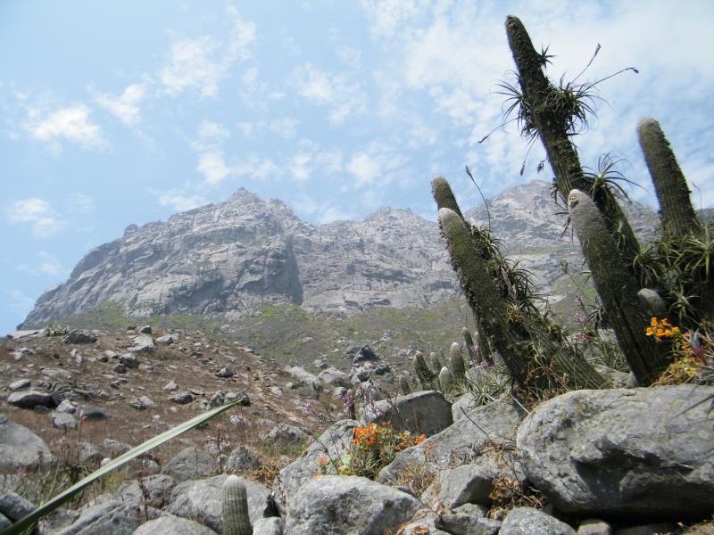 La 'batalla' por el Cerro Campana