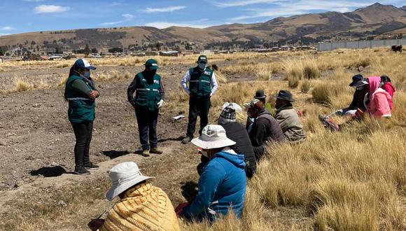 Unos 800 productores de la región Puno participan de las 37 Escuelas de Campo. (Foto: Difusión)