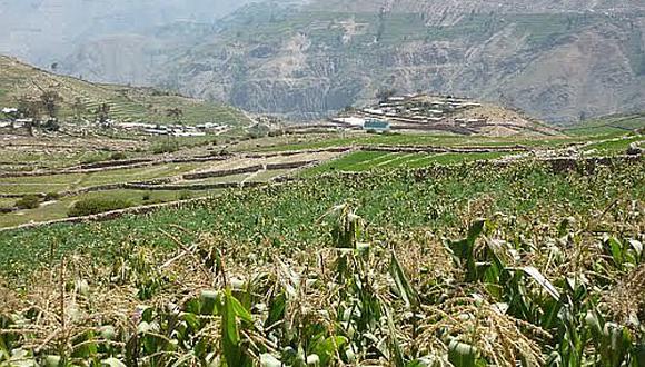 Entregarán 332 kits agrícolas para campesinos de Cairani 