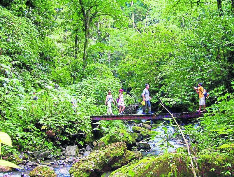 Parque Nacional deTingo María,  tiene 295 especies de aves