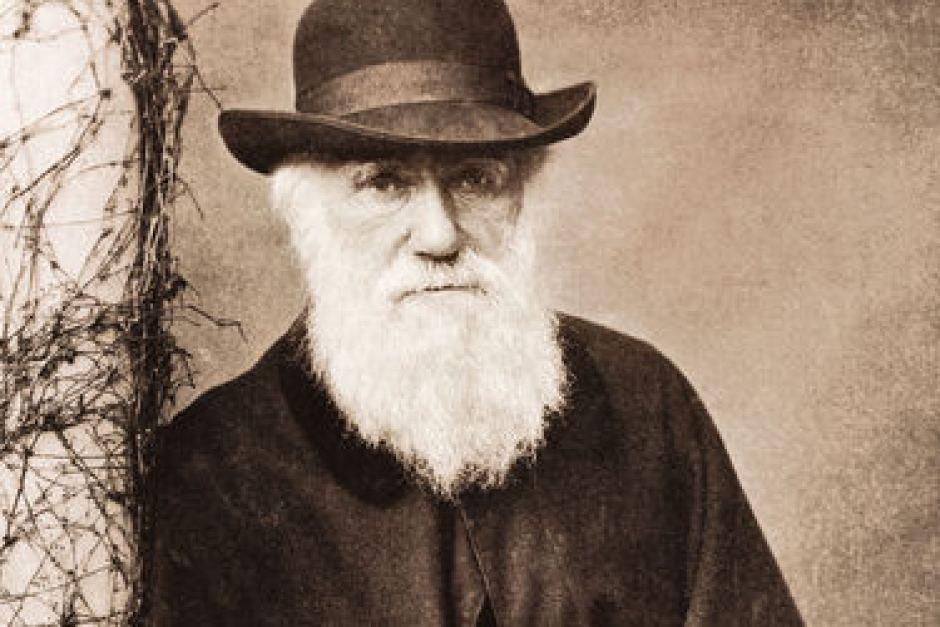 Subastan carta de Charles Darwin en la que afirma que no cree en la biblia