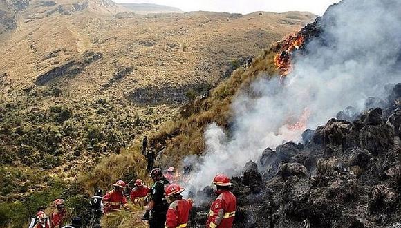 Alarmante: Ola de incendios forestales se registran en varias regiones del país