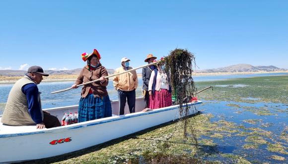 Residuos sólidos y animales muertos que flotan en el lago Titicaca. (Foto: Difusión)