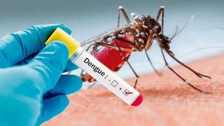 El dengue mata a 25 personas en Piura
