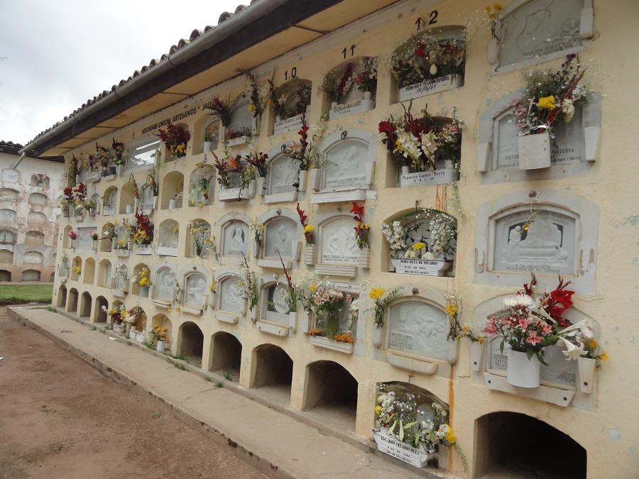 Callao: Cementerio Baquíjano y Carrillo en alerta por Chikungunya