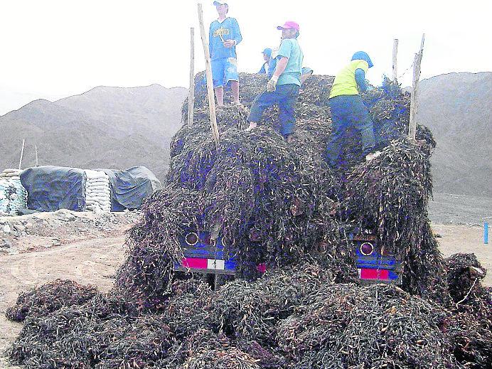 Amenazan a pescadores para que dejen las playas