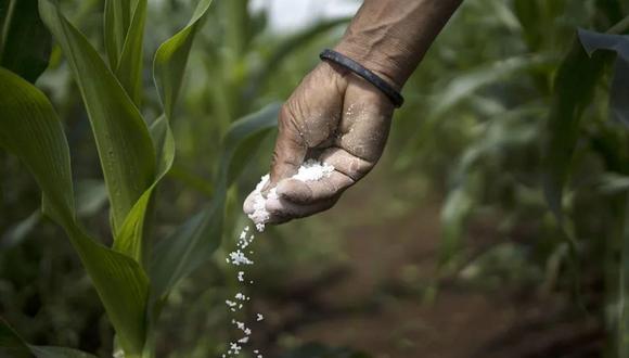 “No se puede esperar más tiempo, por eso, estamos acelerando la compra de los fertilizantes y hacer la entrega a corto plazo a los agricultores”, subrayó Oscar Zea. (Foto: AFP)