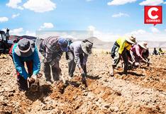 Ceprened: Junín, Ayacucho y Huancavelica entre las regiones en riesgo muy alto por déficit hídrico