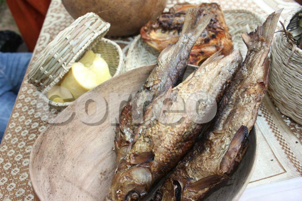 Presentan anticucho de insectos en festival de Shintoriato