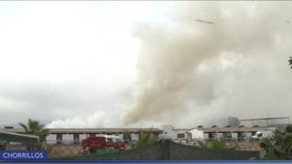 Chorrillos: Se reporta incendio forestal cerca de Pantanos de Villa (VIDEO)