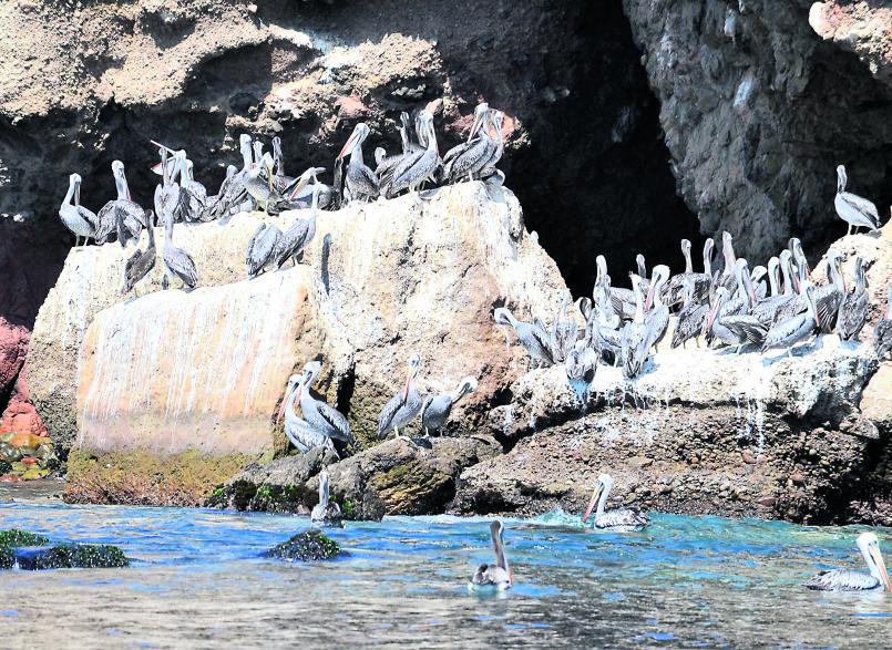 "Yaku Mama", el tributo al mar