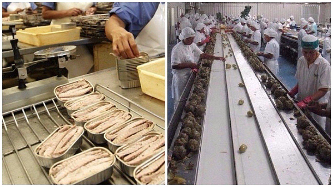 Perú prohibió el ingreso de conservas chinas tras caso de enlatados con gusanos