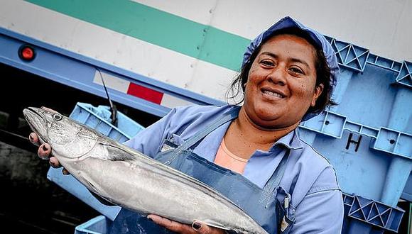 ​Arequipa: Venderán 5 toneladas de pescado bonito a S/ 5.50 el kilo