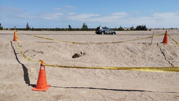 Persona que habría sido asesinada y luego enterrada hace unos días fue encontrada en el sector Hospicio, camino a Chile