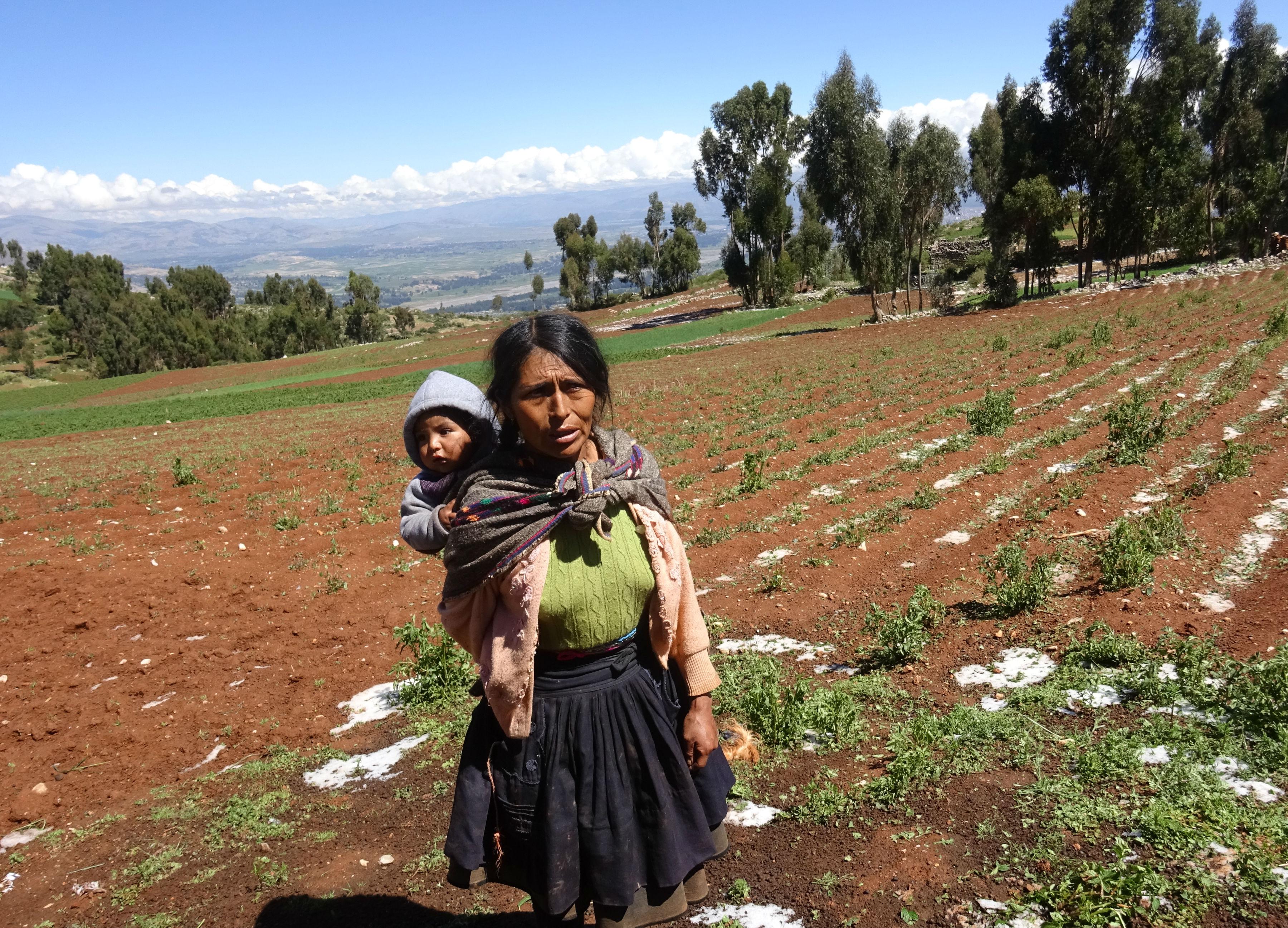 Víctimas de granizada en ​Cullhuas reciben apoyo de Defensa Civil 