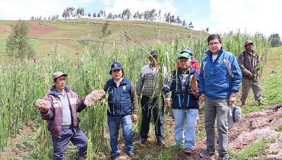 Tormenta de granizo acaba con el 100% de cultivos en pequeño pueblo de Cusco  