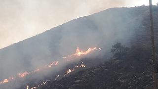 Autoridades y ciudadanos controlaron cuatro incendios forestales en Cusco, Ayacucho y Áncash