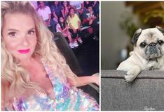 Johanna San Miguel comparte tierna postal de su perrita vestida como ‘Queca’ (FOTO)