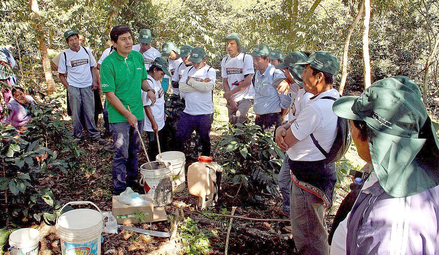 Cafetaleros de Cusco exportan productos hacia Estados Unidos y Alemania