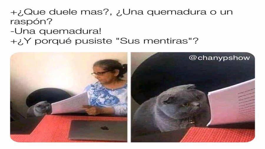 El meme del año: Conoce cuáles fueron los memes que se volvieron viral en las redes sociales