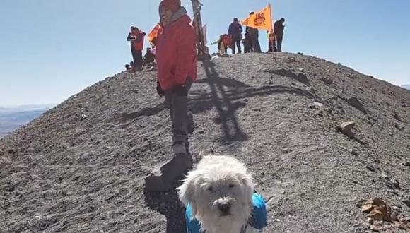 No es el primer perro que acompaña a los montañistas, pero lo hace por propia decisión y le gusta pararse en la cima, frente a la cruz y ver lo extenso de su patio de recreo. (Foto: Difusión)
