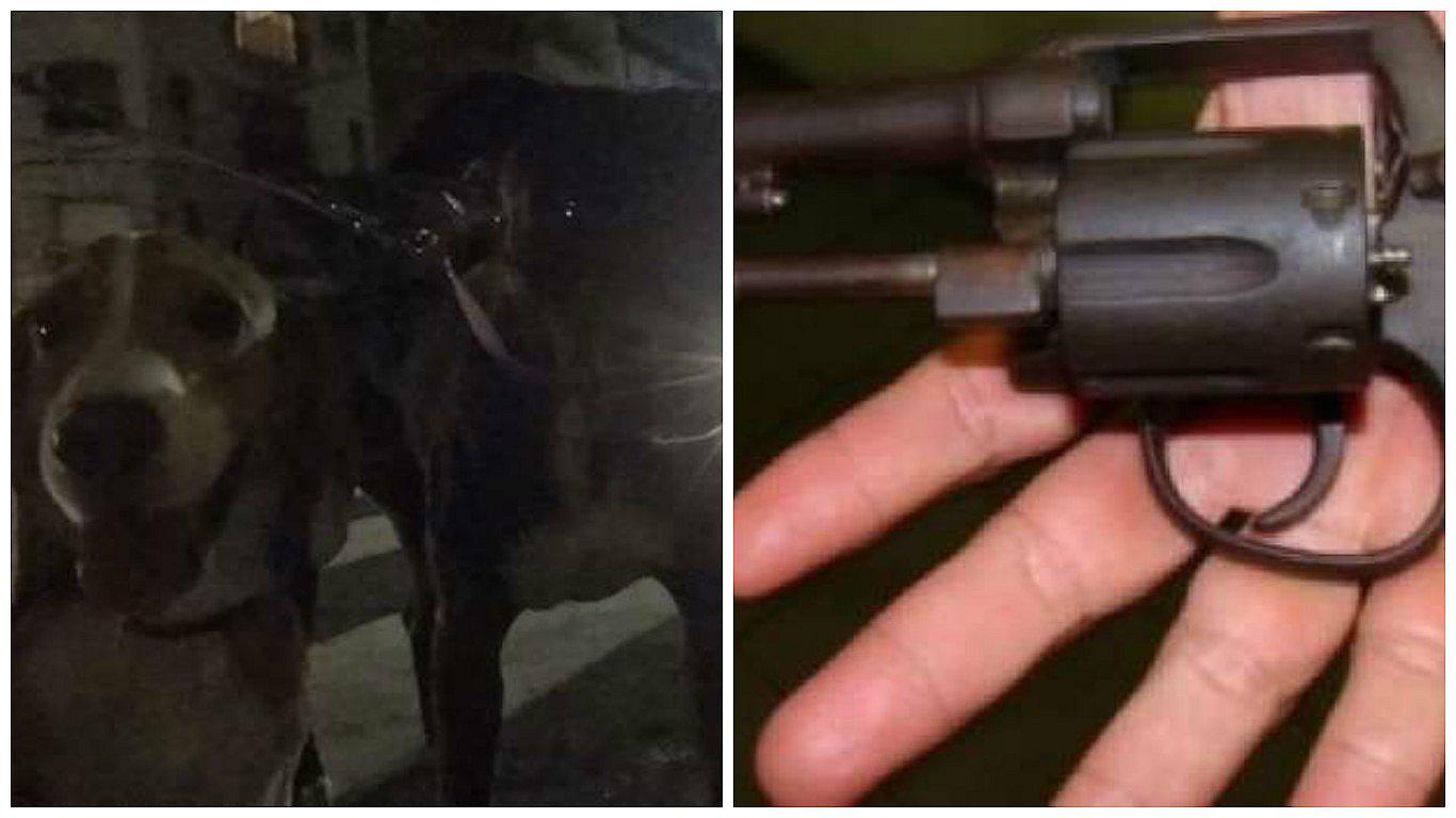 ​Hombre asegura que su perro le disparó a su novia ¿Cómo sucedió?