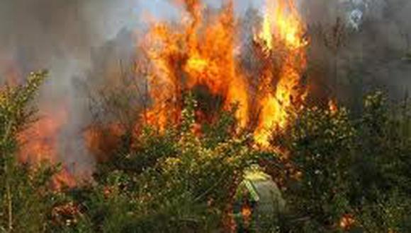 Chile: Catorce casas destruidas y cien personas evacuadas por incendio forestal