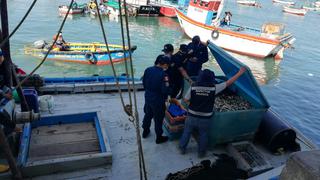 Intervienen dos embarcaciones por realizar pesca ilegal en el mar de Talara